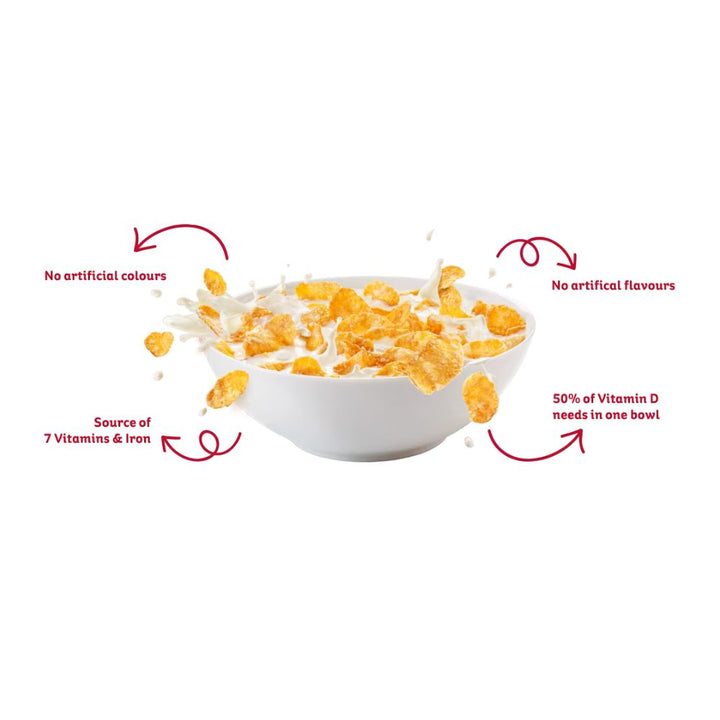 KeLLOGGS (1)