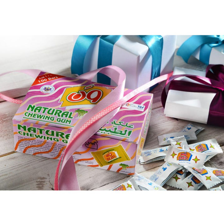 Van Natural Chewing Gum 100x5g (1)