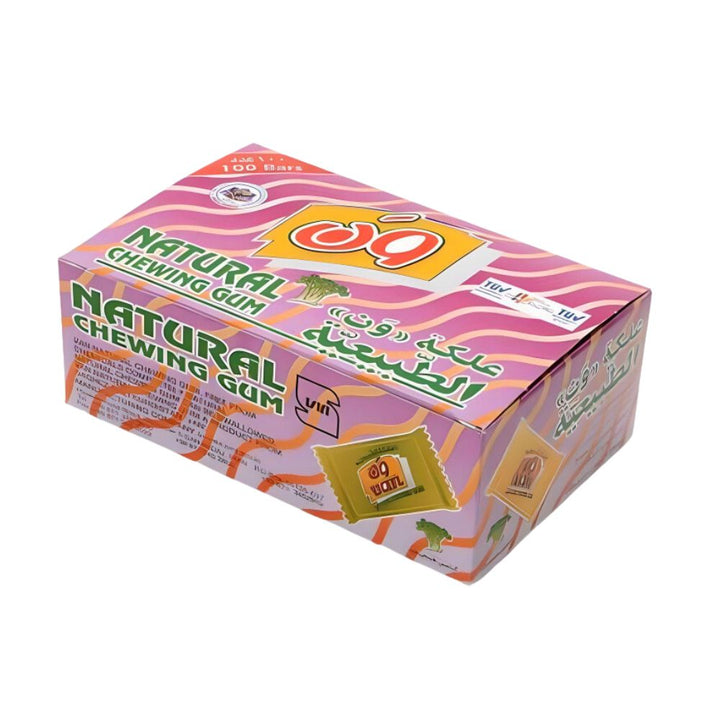 Van Natural Chewing Gum 100x5g
