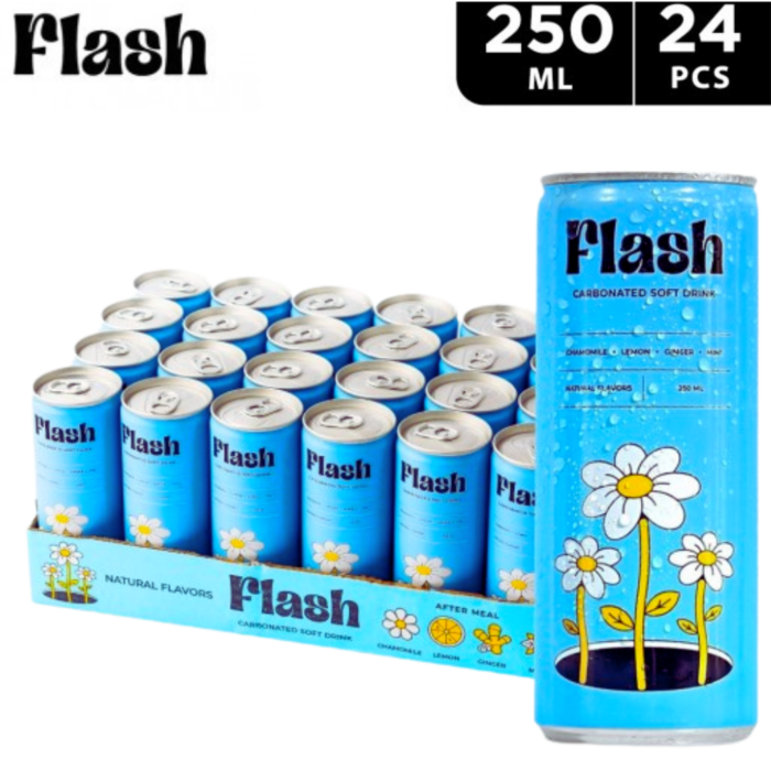 Natural Flash drink 24x250ml