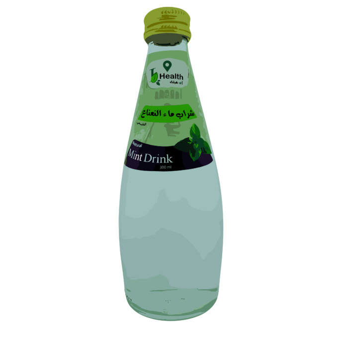 Mint Drink Health Water 300ml